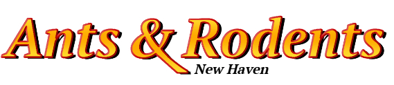 New Haven Ant Exterminator & Rodent Control Company Logo